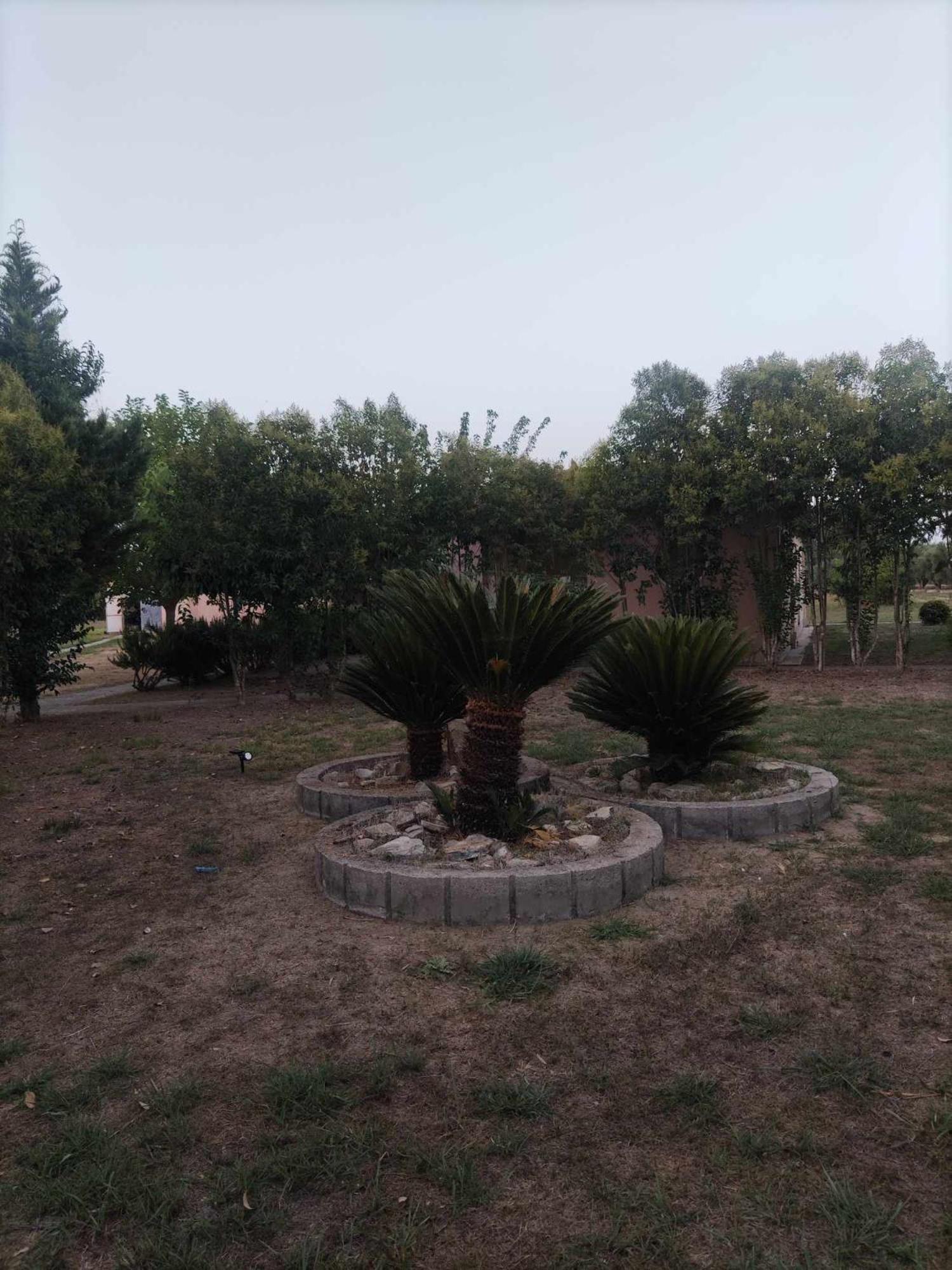 Romvi Village Amaliada Exterior photo
